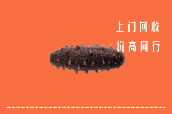 千山回收海参