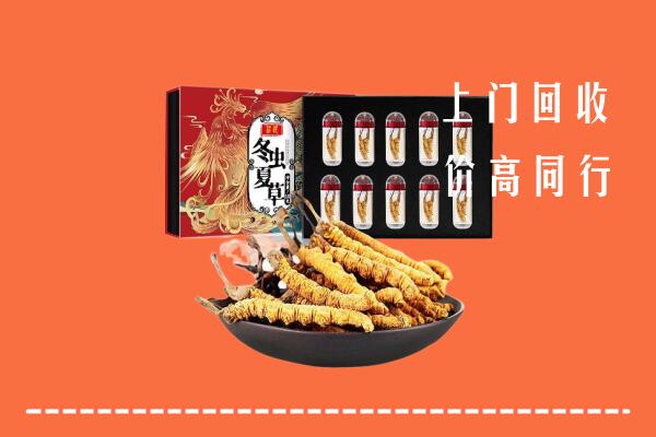 千山回收虫草